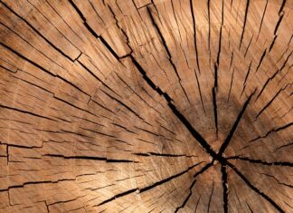 Jaka piła tarczowa do cięcia drewna opałowego?